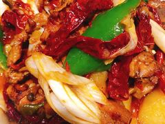 -巴依老爷新疆美食(常营店)