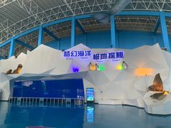 -泉城欧乐堡海洋极地世界