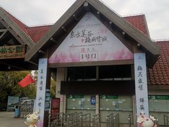 -上海海湾国家森林公园