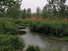 -洨河生态公园