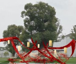 -DNA Wedding 婚礼记(上海店)