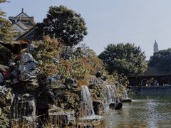 -顺峰山公园