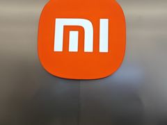 -小米之家汽车(永旺梦乐城店)