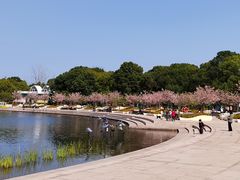 -新江湾城公园