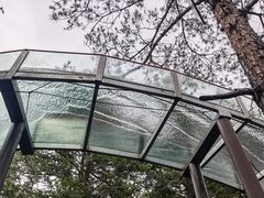 -龙井峡漂流