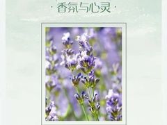 -上海交通大学(闵行校区)