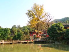 -佛荫寺