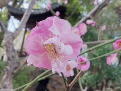 -汇龙潭