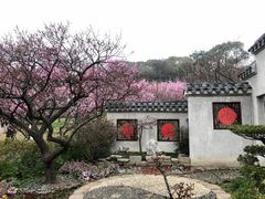 -无锡梅园公园