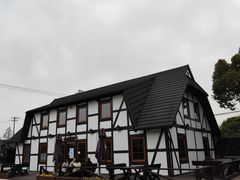 -金山农民画村-枫泾波兰倒置屋