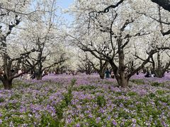 -江苏三台山国家森林公园