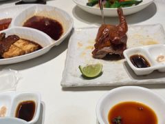 -侨美·唐荔园·40年地道粤菜