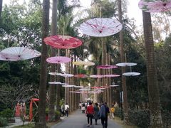 -华南国家植物园-售票处