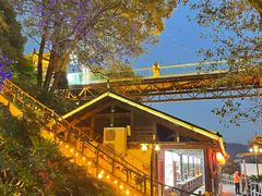 -巴倒烫陆派重庆火锅(南山店)