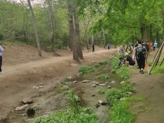 -白水寺森林公园