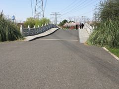 -九里河湿地公园