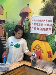 -神奇动物撸宠馆·羊驼·小浣熊·异宠(豫园店)