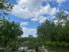 -大兴滨河森林公园