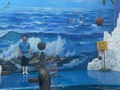 -左海海底世界