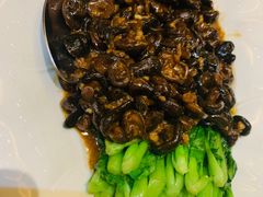 -宋宴(虎跑店)