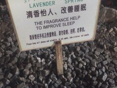 -河北霸州茗汤日月潭温泉