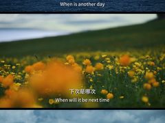 -赛里木湖风景名胜区