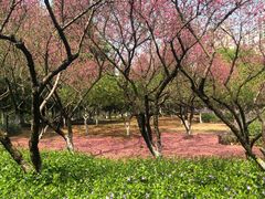 -白塘生态植物园