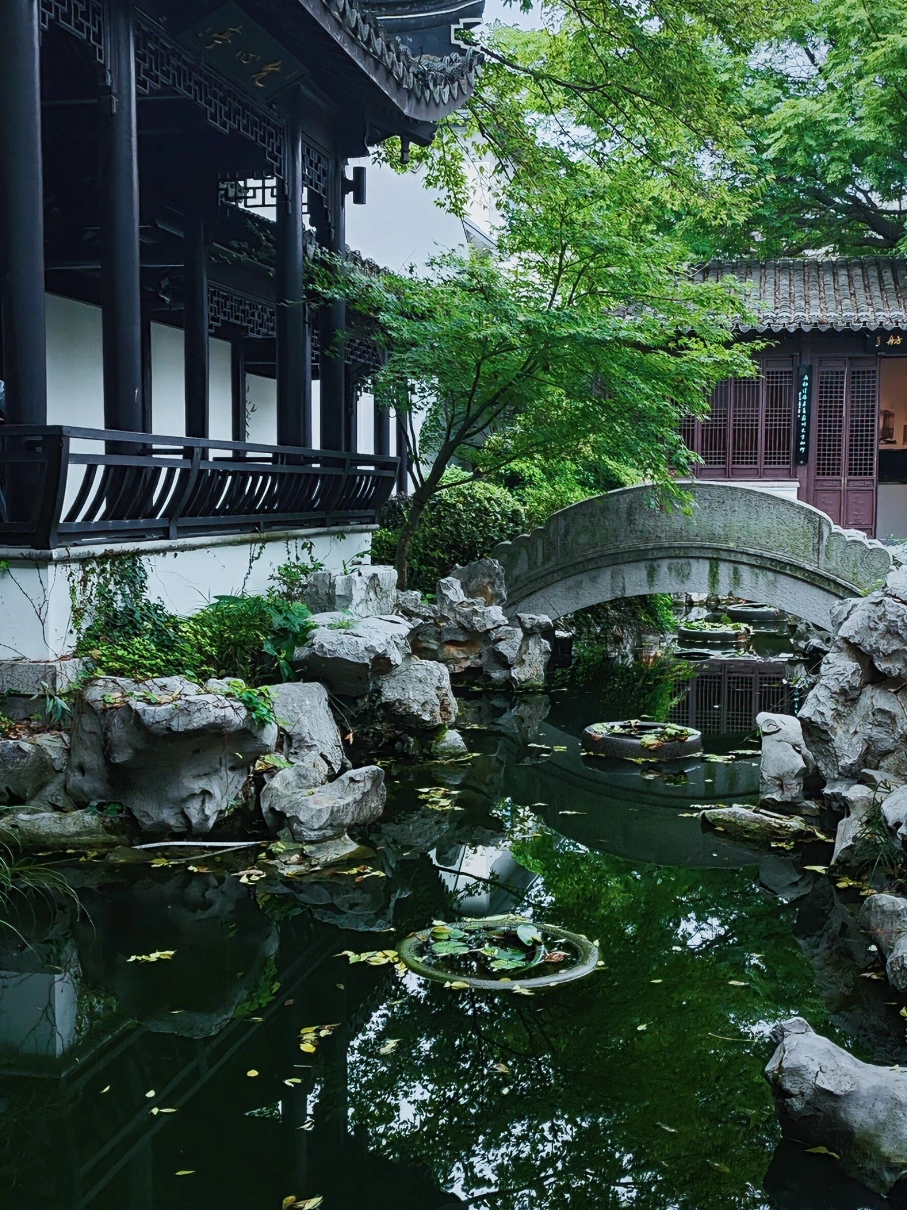 这个免费的园林可能苏州没几个人知道