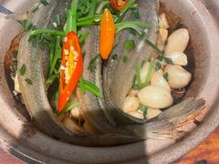 -鸽味轩·粤菜小馆(高楼门总店)