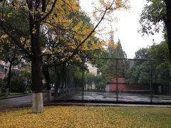 -同济大学(沪西校区)