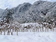-大明山自然探索公园