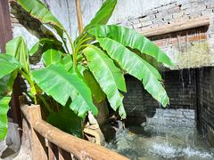 -東茅街茶馆