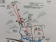 -香雪海