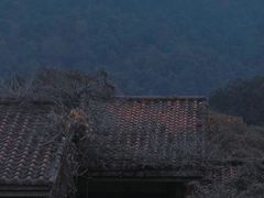 -中国茶叶博物馆(双峰馆区)