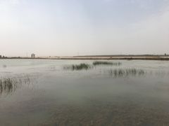 -黄沙古渡原生态旅游区