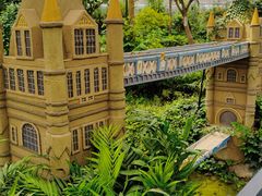 -南宫五洲植物乐园