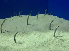 -上海海洋水族馆