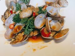 -碧丽宫大酒店(召稼楼店)