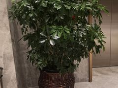 大堂-老三羊汤【北兴隆街店】