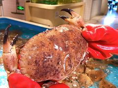 -日进一片海.生腌海鲜火锅.宵夜烧烤(三里屯总店)