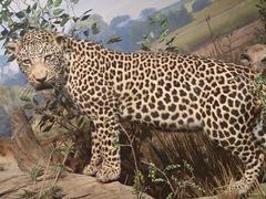 -陕西自然博物馆