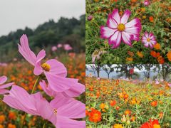 -南北湖风景区