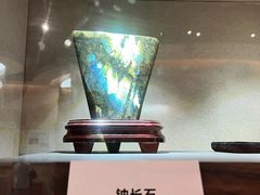 -陕西自然博物馆