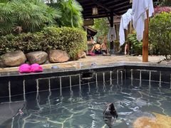 -明月山天沐温泉度假村