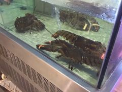 水产区-解放碑威斯汀酒店-知味国际美食餐厅