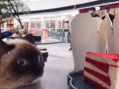 -BeauTea水仙(coco park店)