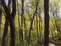 -嵩山少林文化旅游景区