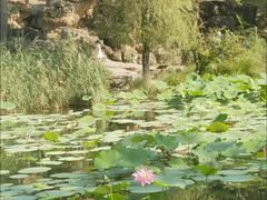 -承德避暑山庄景区