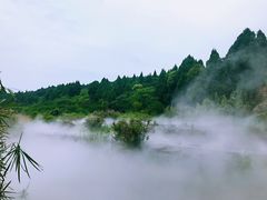 -中国香山·寿香谷