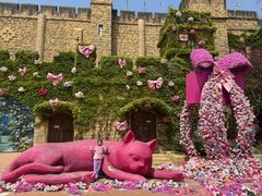 -青岛方特梦幻王国